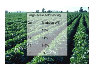 Plant epigenetic memory in plant growth behavior and stress response. Sally Mackenzie