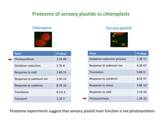 Plant epigenetic memory in plant growth behavior and stress response. Sally Mackenzie