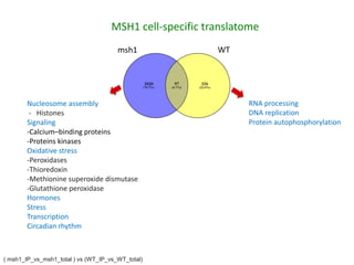 Plant epigenetic memory in plant growth behavior and stress response. Sally Mackenzie