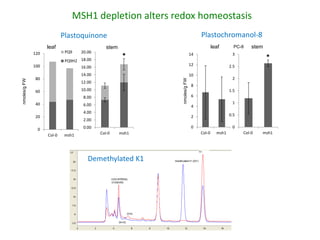 Plant epigenetic memory in plant growth behavior and stress response. Sally Mackenzie