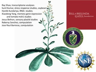 Plant epigenetic memory in plant growth behavior and stress response. Sally Mackenzie