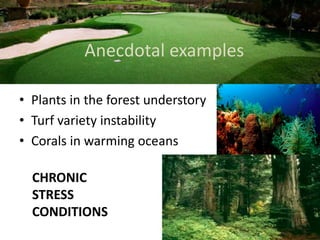 Plant epigenetic memory in plant growth behavior and stress response. Sally Mackenzie