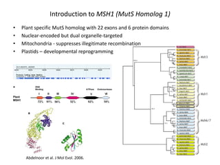 Plant epigenetic memory in plant growth behavior and stress response. Sally Mackenzie