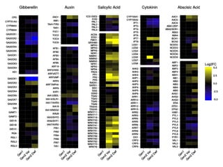Plant epigenetic memory in plant growth behavior and stress response. Sally Mackenzie