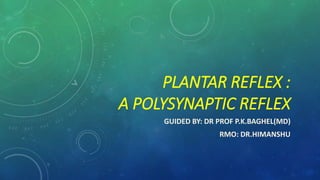 PLANTAR REFLEX :
A POLYSYNAPTIC REFLEX
GUIDED BY: DR PROF P.K.BAGHEL(MD)
RMO: DR.HIMANSHU
 