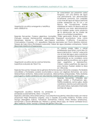 PLAN TERRITORIAL DE DESARROLLO INTEGRAL AJUSTADO P.T.D.I. 2016 2020 G.A ...