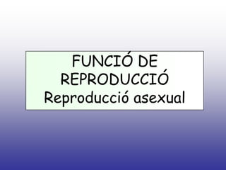 FUNCIÓ DE REPRODUCCIÓ<br />Reproducció asexual <br />