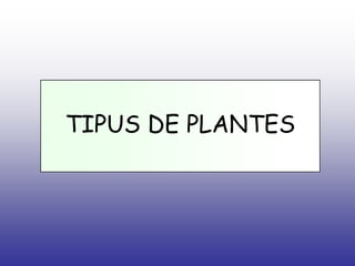 TIPUS DE PLANTES<br />        REPRODUCCIÓ SEXUAL<br />        REPRODUCCIÓ SEXUAL<br />APARICIÓ DE LES FLORS<br />Les plant...