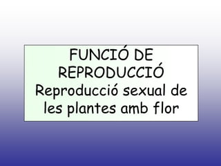 FUNCIÓ DE REPRODUCCIÓ<br />Reproducció sexual de les plantes amb flor <br />REPRODUCCIÓ SEXUAL DE LES PLANTES AMB FLORS<br...
