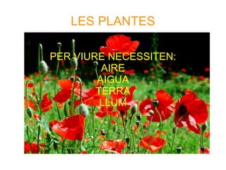 LES PLANTES ,[object Object]