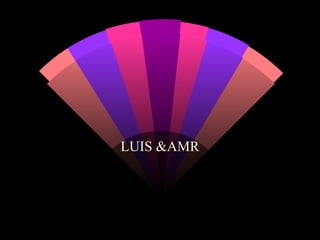 LUIS &AMR 