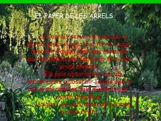 EL PAPER DE LA TIJA
Un cop la saba bruta ha penetrat a
traves de l’arrel de la planta cal que
sigui transportada fins a les fulles, que
es on es fabrica l’aliment.
De la part central de l’arrel parteixen un
conductes molt prims, els vasos
llenyosos, que continuen per l’interior de
la tija i de les branques. Els vasos
llenyosos porten la saba bruta des de
l’arrel fins a les fulles.
EL PAPER DE LES ARRELS
Les arrels serveixen perquè la
planta quedi subjecte a terra i pugui
absorbir l’aigua i les sals minerals
que necessita per fabricar-se el seu
propi aliment.
Els pels absorbents son els
encarregats d’absorbir l’aigua que hi
ha al sòl amb les sals minerals que
conté dissoltes.
L’aigua i les sals minerals formen
la saba bruta.
 