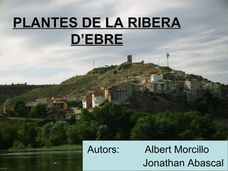 PLANTES DE LA RIBERA D’EBRE Autors:  Albert Morcillo Jonathan Abascal 