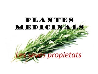 Plantes
medicinals

Les seves propietats

 