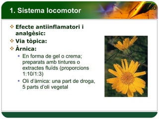 1. Sistema locomotor Efecte antiinflamatori i analgèsic: Via tòpica: Àrnica: En forma de gel o crema; preparats amb tintures o extractes fluïds (proporcions 1:10/1:3) Oli d’àrnica: una part de droga, 5 parts d’oli vegetal 