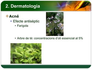 2. Dermatologia Acné Efecte antisèptic Farigola  Arbre de tè: concentracions d’oli essencial al 5% 