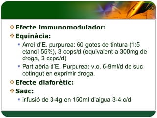 Efecte immunomodulador: Equinàcia:  Arrel d’E. purpurea: 60 gotes de tintura (1:5 etanol 55%), 3 cops/d (equivalent a 300mg de droga, 3 cops/d) Part aèria d’E. Purpurea: v.o. 6-9ml/d de suc obtingut en exprimir droga. Efecte diaforètic: Saüc:  infusió de 3-4g en 150ml d’aigua 3-4 c/d 