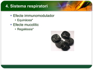 4. Sistema respiratori Efecte immunomodulador Equinàcea* Efecte mucolític Regalèssia* 