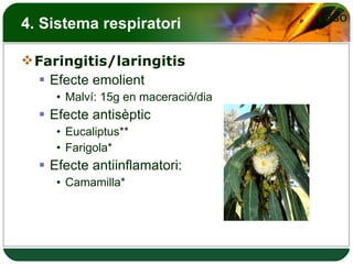 4. Sistema respiratori Faringitis/laringitis Efecte emolient Malví: 15g en maceració/dia  Efecte antisèptic Eucaliptus** Farigola* Efecte antiinflamatori: Camamilla* 