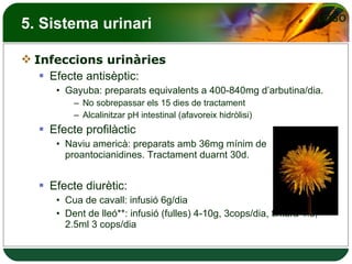 5. Sistema urinari Infeccions urinàries Efecte antisèptic: Gayuba: preparats equivalents a 400-840mg d’arbutina/dia. No sobrepassar els 15 dies de tractament Alcalinitzar pH intestinal (afavoreix hidròlisi) Efecte profilàctic Naviu americà: preparats amb 36mg mínim de proantocianidines. Tractament duarnt 30d. Efecte diurètic: Cua de cavall: infusió 6g/dia Dent de lleó**: infusió (fulles) 4-10g, 3cops/dia, tintura 1:5; 2.5ml 3 cops/dia 