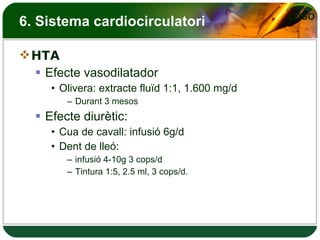6. Sistema cardiocirculatori HTA Efecte vasodilatador Olivera: extracte fluïd 1:1, 1.600 mg/d Durant 3 mesos Efecte diurètic: Cua de cavall: infusió 6g/d Dent de lleó:  infusió 4-10g 3 cops/d Tintura 1:5, 2.5 ml, 3 cops/d. 