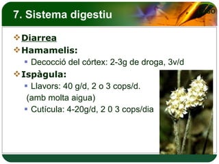 7. Sistema digestiu Diarrea Hamamelis:  Decocció del córtex: 2-3g de droga, 3v/d Ispàgula: Llavors: 40 g/d, 2 o 3 cops/d. (amb molta aigua) Cutícula: 4-20g/d, 2 0 3 cops/dia 