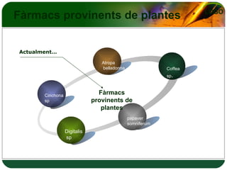 Fàrmacs provinents de plantes Cinchona  sp Atropa belladonna Coffea  sp . papaver  somniferum Digitalis sp Fàrmacs provinents de plantes Actualment… 
