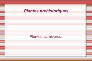 Plantes prehistoriques




  Plantes carnivores.
 
