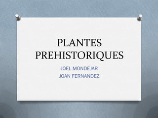 PLANTES
PREHISTORIQUES
    JOEL MONDEJAR
   JOAN FERNANDEZ
 