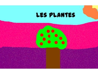 Les plantes
 