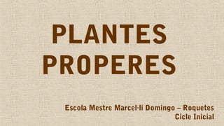 PLANTES
PROPERES
Escola Mestre Marcel·lí Domingo – Roquetes
Cicle Inicial
 