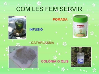 COM LES FEM SERVIR POMADA INFUSIÓ COLÒNIA O OLIS CATAPLASMA 