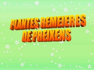 PLANTES REMEIERES DE PREIXENS 