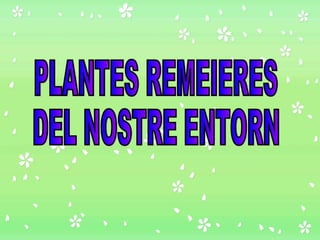 PLANTES REMEIERES  DEL NOSTRE ENTORN 