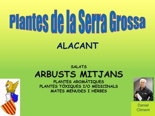 ALACANT

            SALATS

ARBUSTS MITJANS
     PLANTES AROMÀTIQUES
PLANTES TÒXIQUES I/O MEDICINALS
    MATES MENUDES I HERBES


                                  Daniel
                                  Climent
 