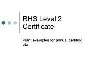 RHS Level 2 Certificate Plant examples for annual bedding etc 