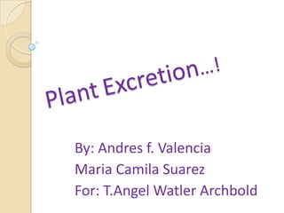 PlantExcretion…! By: Andres f. Valencia Maria Camila Suarez For: T.Angel Watler Archbold 