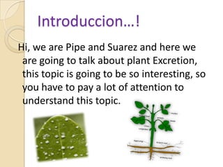 Introduccion…! Hi, we are Pipe and Suarez and here we are going to talk about plant Excretion, this topic is going to be so interesting, so you have to pay a lot of attention to understand this topic.