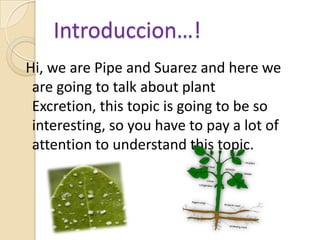Introduccion…! Hi, we are Pipe and Suarez and here we are going to talk about plant Excretion, this topic is going to be so interesting, so you have to pay a lot of attention to understand this topic.