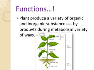 Functions…!Plant produce a variety of organic and inorganic substance as- by produvts during metabolism variety of ways.