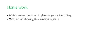 Home work
• Write a note on excretion in plants in your science diary
• Make a chart showing the excretion in plants
 