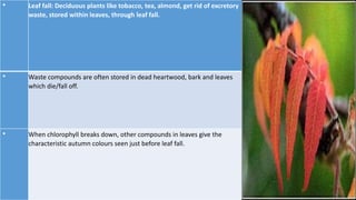• Leaf fall: Deciduous plants like tobacco, tea, almond, get rid of excretory
waste, stored within leaves, through leaf fall.
• Waste compounds are often stored in dead heartwood, bark and leaves
which die/fall off.
• When chlorophyll breaks down, other compounds in leaves give the
characteristic autumn colours seen just before leaf fall.
 