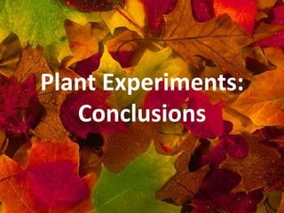 Plant Experiments:Conclusions 
