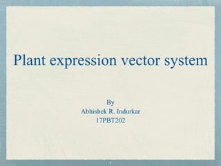 Plant expression vector system
By
Abhishek R. Indurkar
17PBT202
 