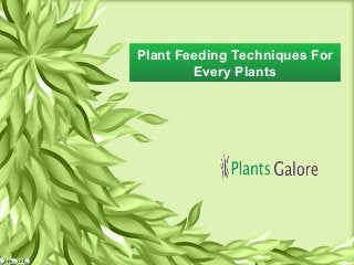 Plant Feeding Techniques For
Every Plants
Plant Feeding Techniques For
Every Plants
 