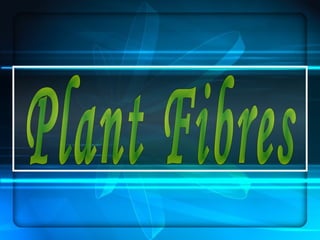 Plant fibres