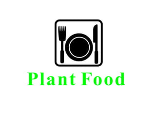 Plant Food 