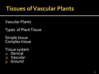 Vascular Plants 
Types of Plant Tissue 
Simple tissue 
Complex tissue 
Tissue system 
1) Dermal 
2) Vascular 
3) Ground 
10 
 