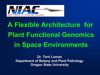 A Flexible Architecture for 
Plant Functional Genomics 
in Space Environments 
Dr. Terri Lomax 
Department of Botany and Plant Pathology 
Oregon State University 
 