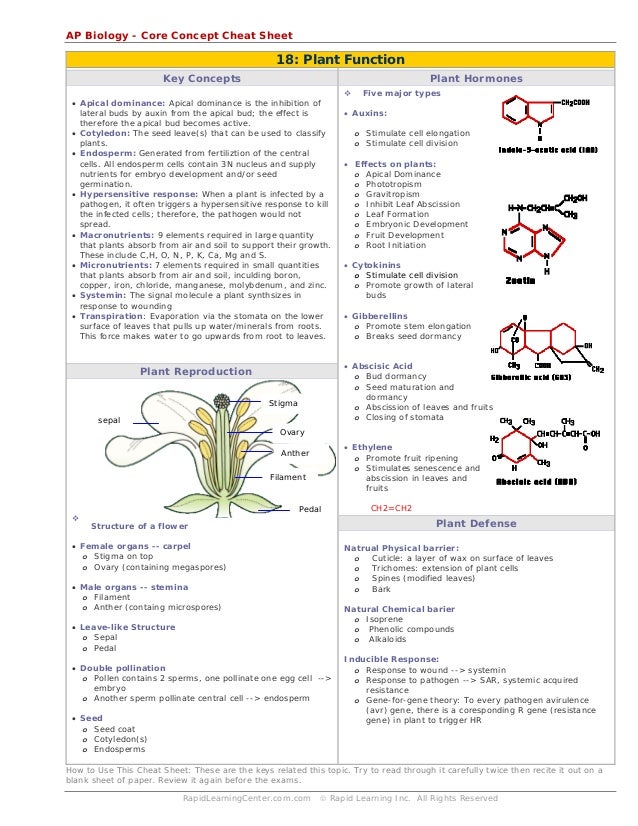 Plant function cheat sheet